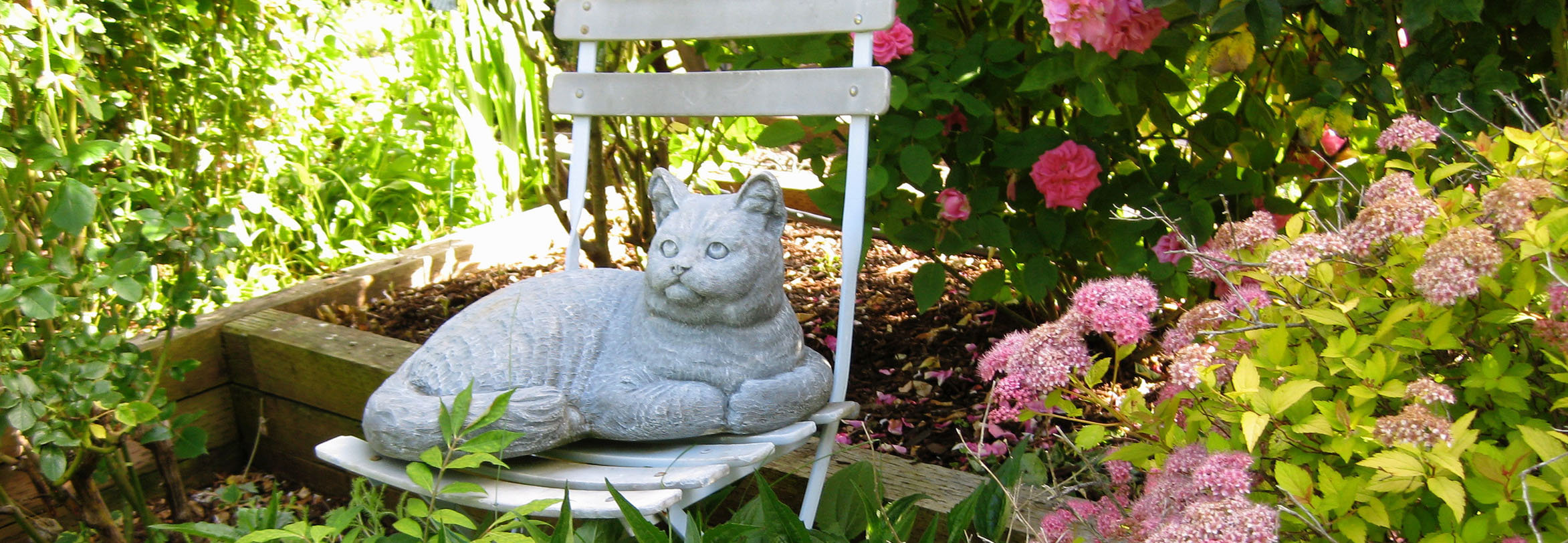 Low-water-use plants in a garden setting