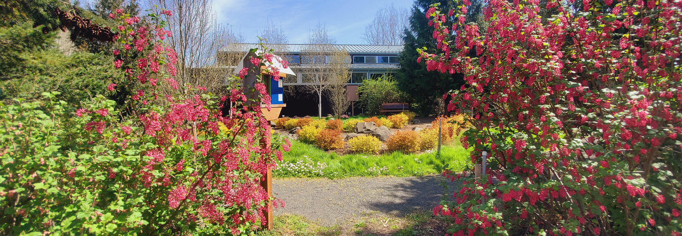 Healthy garden using efficient landscaping principles